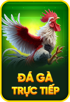FB88 - Trang Cá Cược Thể Thao FB88 | Đăng ký ngay +88K
